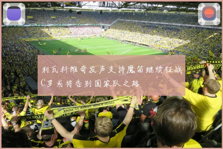 利瓦科维奇发声支持魔笛继续征战C罗或将告别国家队之路