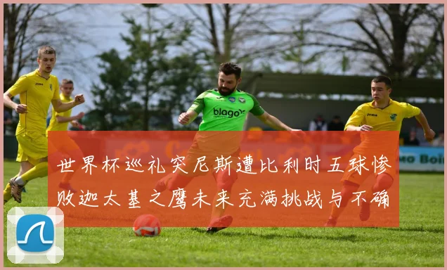 世界杯巡礼突尼斯遭比利时五球惨败迦太基之鹰未来充满挑战与不确定性