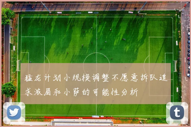 猛龙计划小规模调整不愿意拆队追求浓眉和小萨的可能性分析